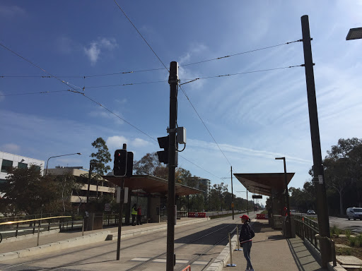 Elouera Street - Thumbnail