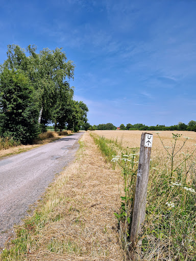 NSG Schnapbrokermoor - Thumbnail