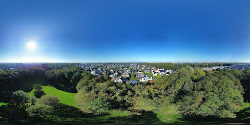 Hondenpark Vroondaal