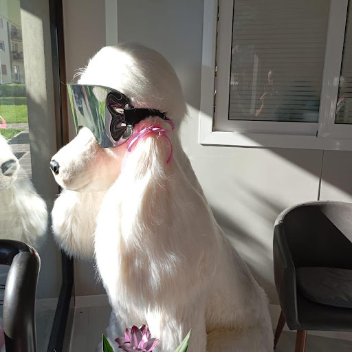 Fluo Pets - Thumbnail