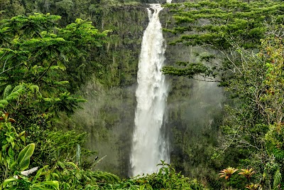 Akaka Falls State Park