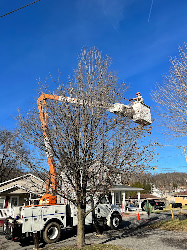Apex Tree Works LLC