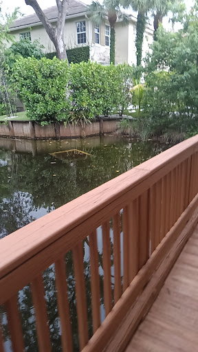 Esterre Davis Wright Park - Visual
