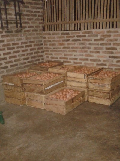 Photos of Peternakan Ayam Petelur "Lelo Farm"