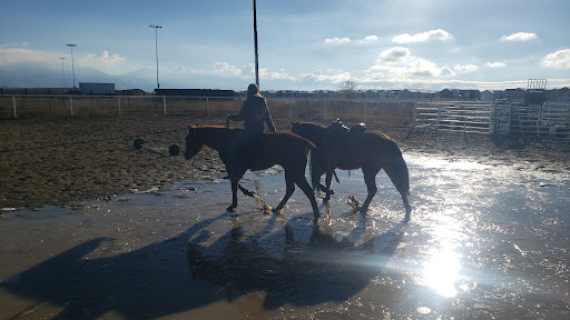 Equestrian Park - Visual