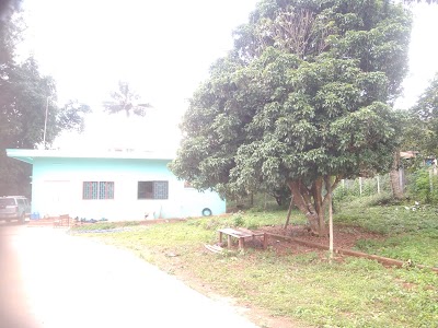 Photos of ADHOC