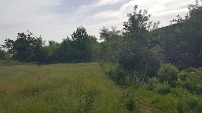 Photos of Turpol Otel