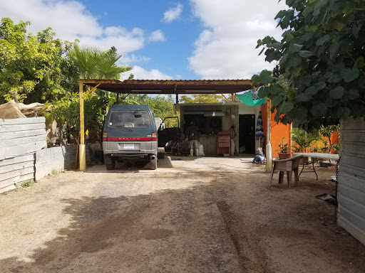 Servicio Autoelectrico Morenillo's