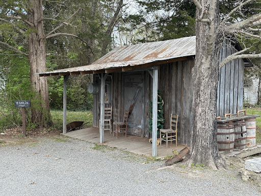 B Darlin Farm Gallery - United States