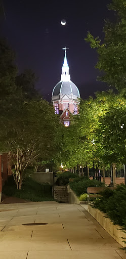 Denton A. Cooley Center - Thumbnail