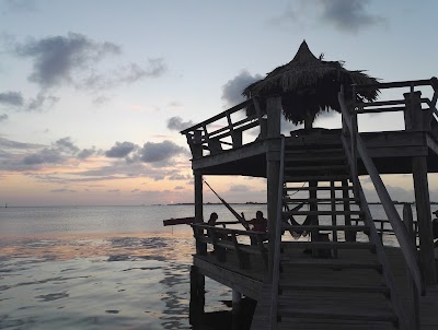 Photos of Alton's Dive Center