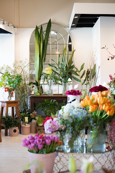 Photos of Amazing Graze Flowers