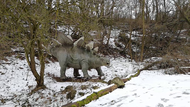 ZOO Bratislava - Múzeum