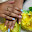 Magic Beauté - Salon de beauté indienne. Notre salon accueille exclusivement les femmes