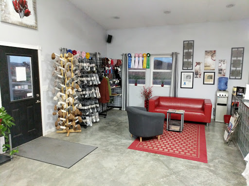 JDH Hair Design - Thumbnail