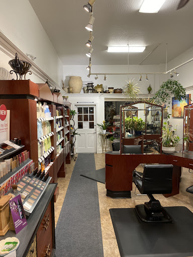 XL Salon - Thumbnail