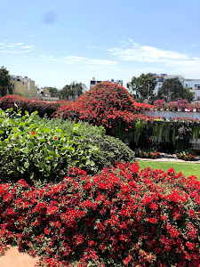 Kuna Museo Larco 6