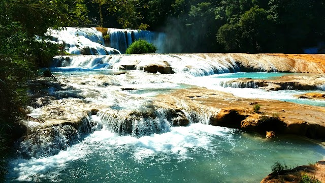 Agua Azul Waterfalls