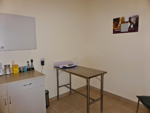 Upper Ottawa Animal Hospital - Thumbnail