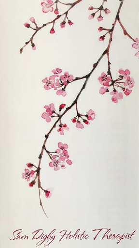 Sam Digby Holistic Therapist