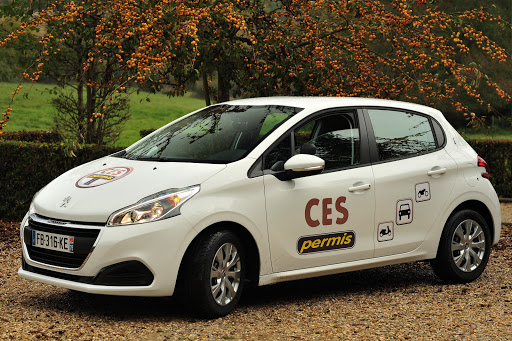 C.e.s. Permis - Visual