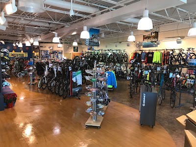 Brandywine Bikes