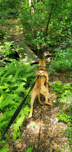 Millers Pond County Park - Thumbnail