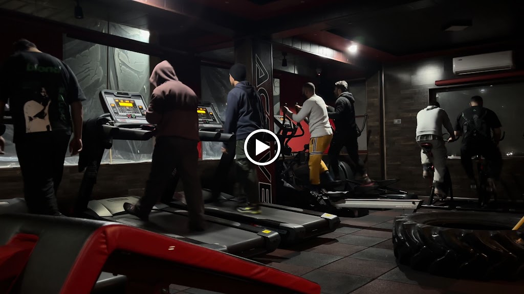 Eleven The Fitness Palace