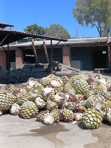 Mezcal Dainzu Gallery - Mexico