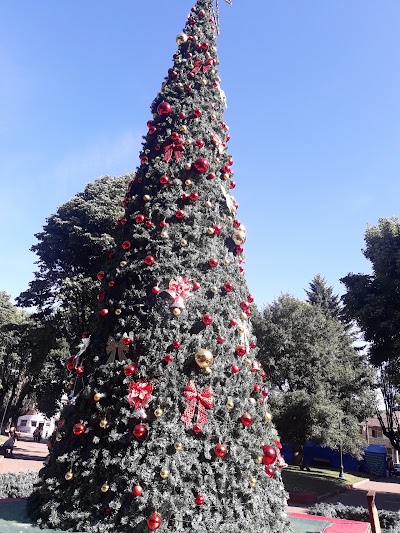 Photos of Plaza de Armas Victoria