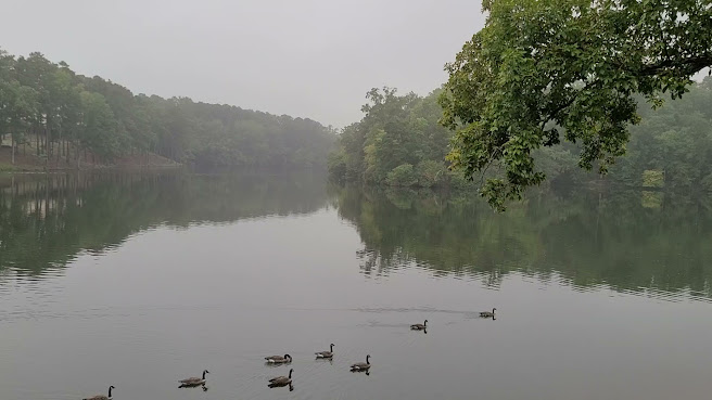 Stone Mountain Park Campground by null