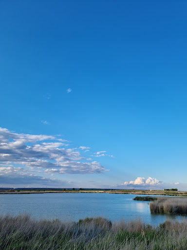 Lagunas - Visual