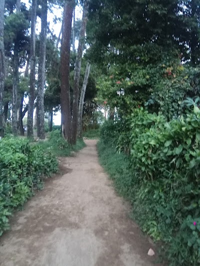 Photos of Taman Junghuhn