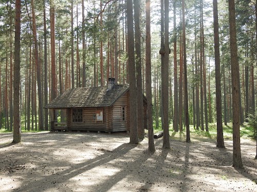 RMK Liipsaare metsaonn