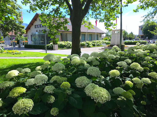 Parc Jean Beauquis - Thumbnail