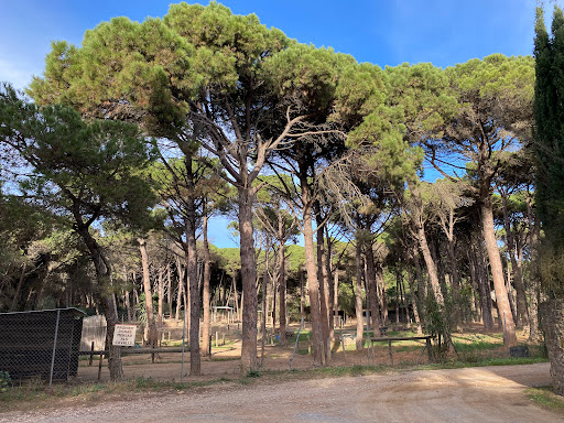 Hípica Begur - Thumbnail
