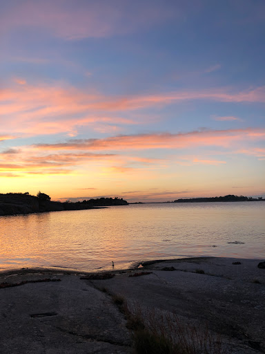 Brasvik - Visual