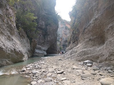 Parku Kombëtar "Bredhi i Hotovës" (Fir of Hotova National Park)