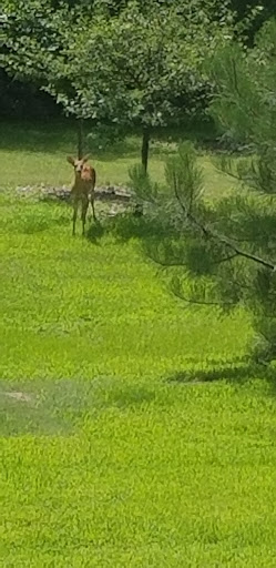 Hall County Park - Thumbnail