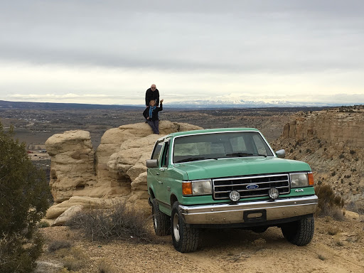 Wild Wild Best Adventure Tours