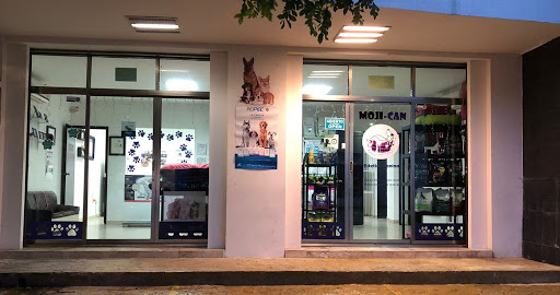 Moji-Can grooming - Thumbnail