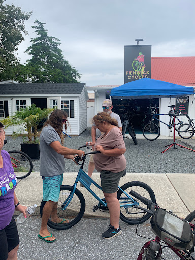 Fenwick Cycles - Visual