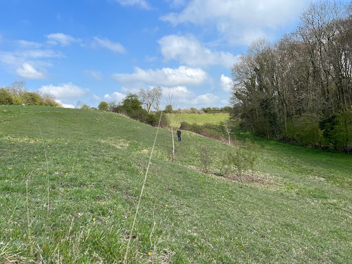 Ledsham Bank nature reserve