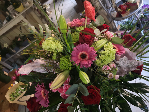 Blumen Floristik im Peterhof - Thumbnail