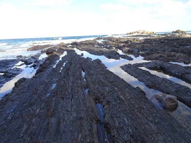 Mimosa Rocks National Park