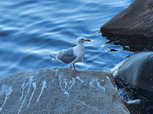 Freshwater Bay County Park - Thumbnail
