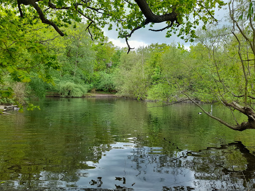Rush Pond