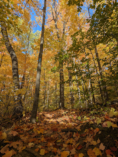 Millar Side Trail - Visual