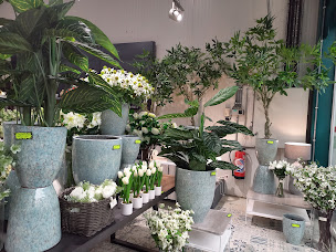 Photo n°6 de Kalysté - Boutique pour professionnels à Carvin (Fournisseur de plantes artificielles)
