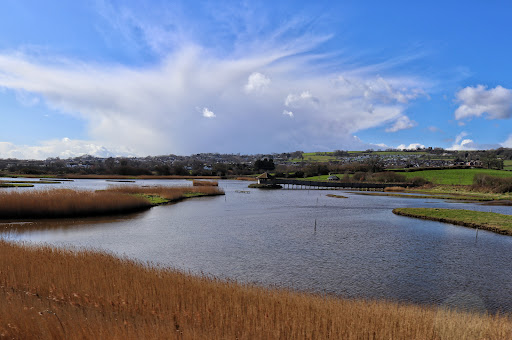 Island Hide - Visual